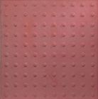 Salem Red CASTinTACT 3 Panel