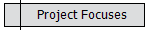 Project Focuses